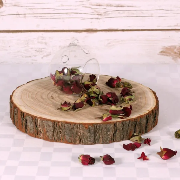 Natural Log Slice For Hire