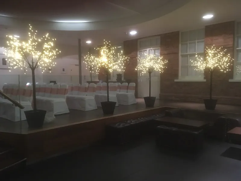 LED trees for hire
