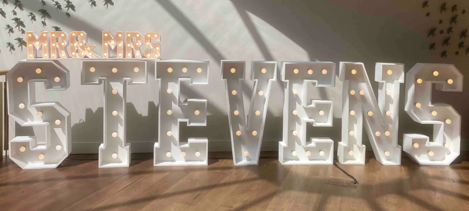 Light-up Surnames Hire