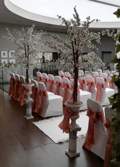 White Blossom Tree Hire