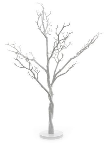 White Manzanita Wishing Tree For Hire