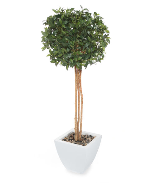 Artificial 5ft Bay Tree Ball Topiary Hire