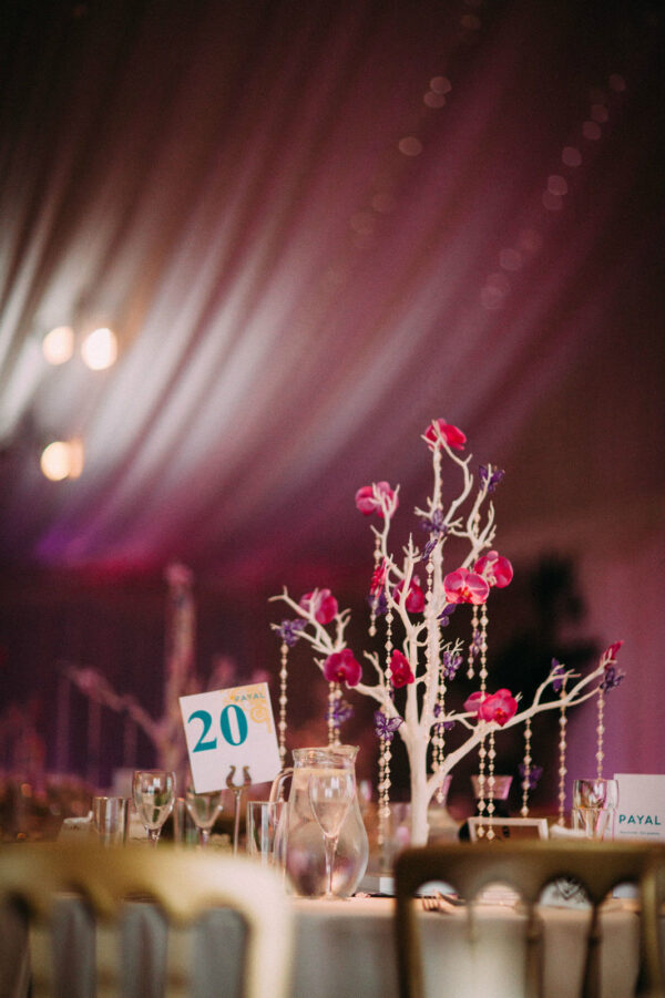 White Manzanita Wishing Tree For Hire - Image 2